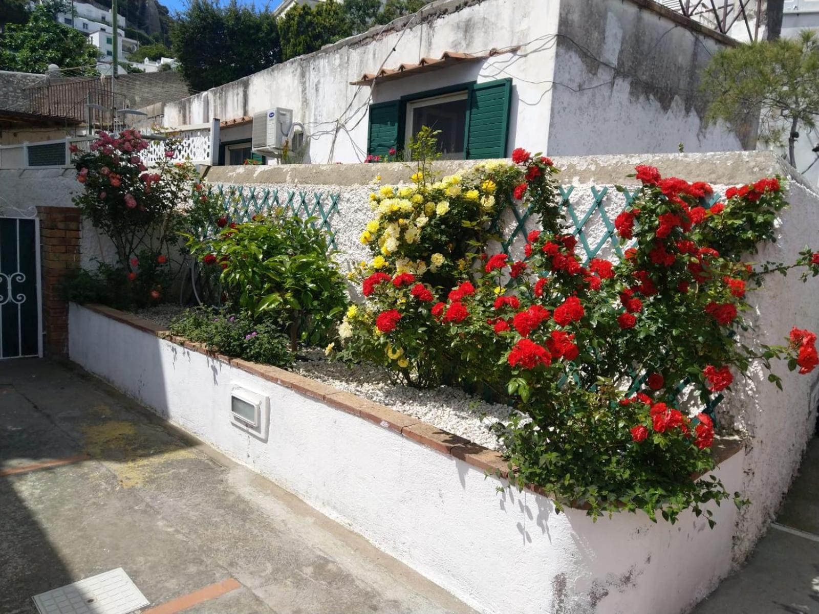 La Marocella Villa Capri Dış mekan fotoğraf